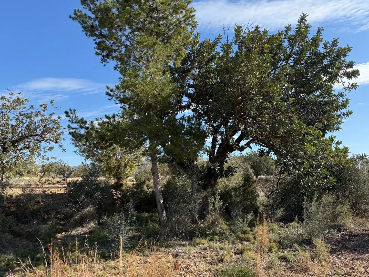 Terrain rustique à vendre à Urbanizaciones