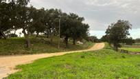 Residential for sale in Capmany