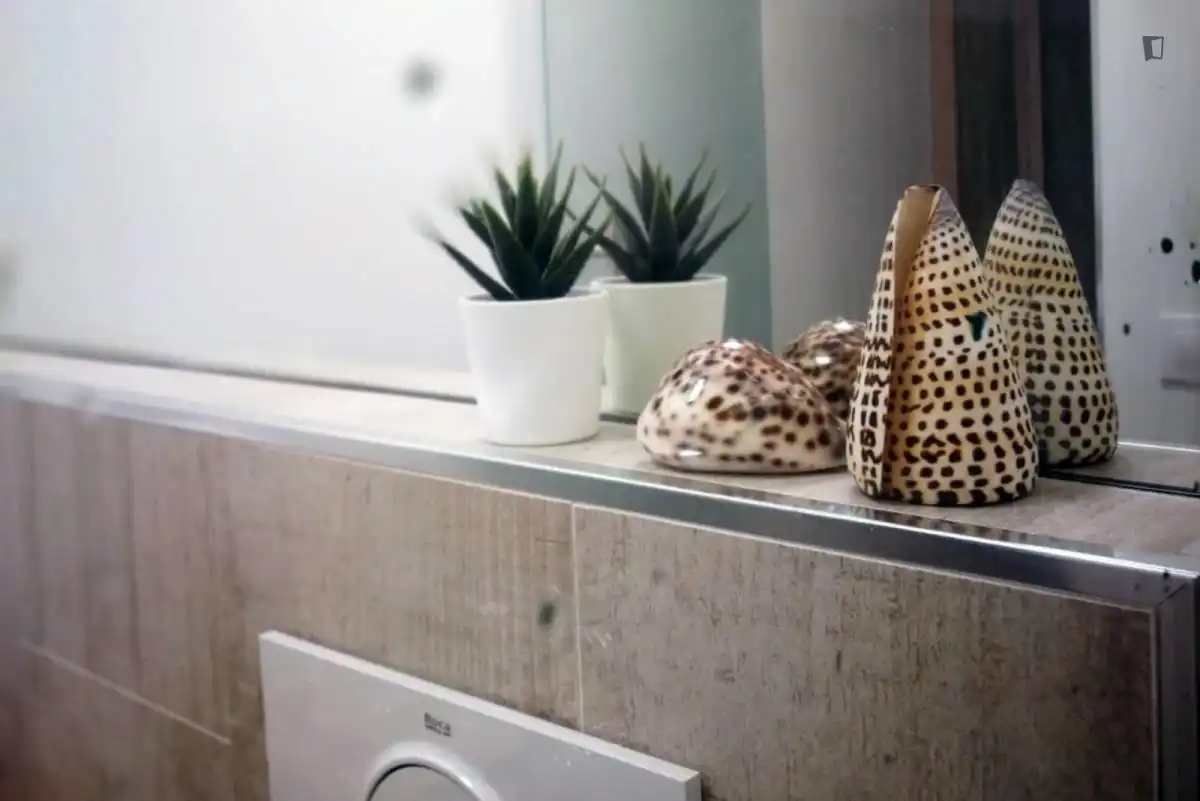 Apartament de lloguer a Centro, imagen 26