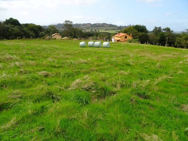 Terreno residencial en Venta en Negales - NEGALES en Carbayin - Lieres - Valdesoto