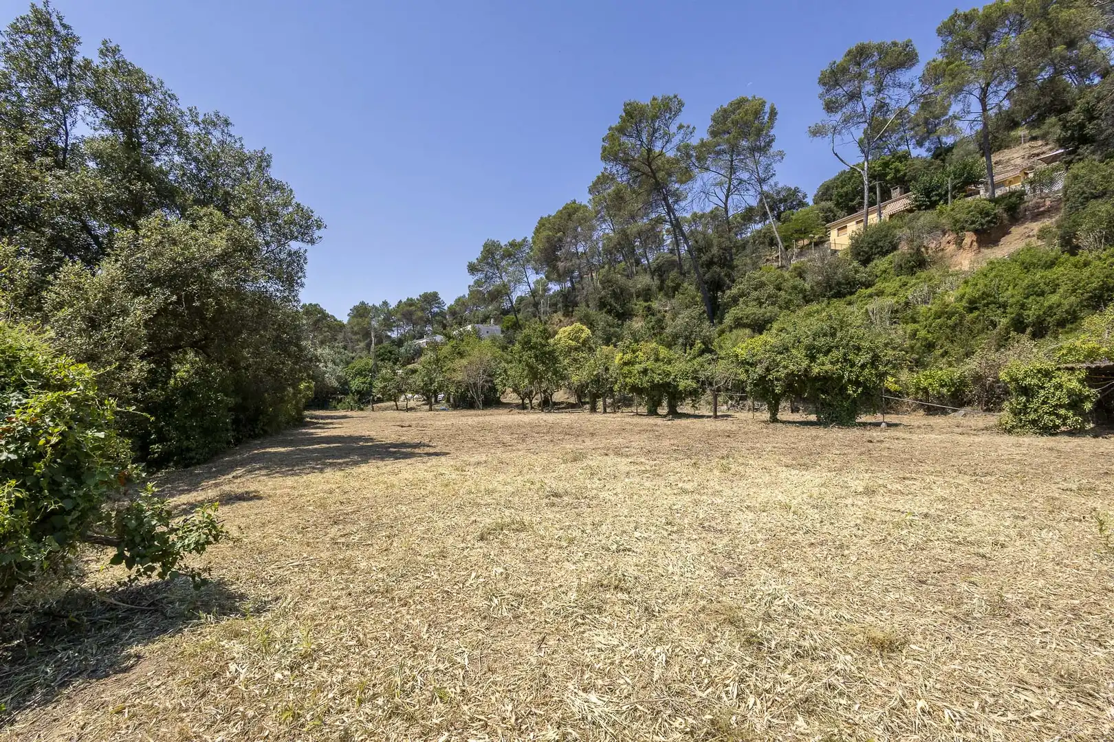 Casa con jardín en venta en Torrelles de Llobregat, imagen 12