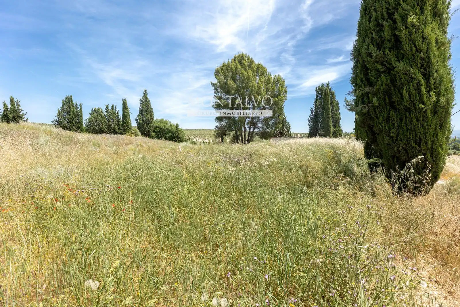 Land for sale in Pinos Puente