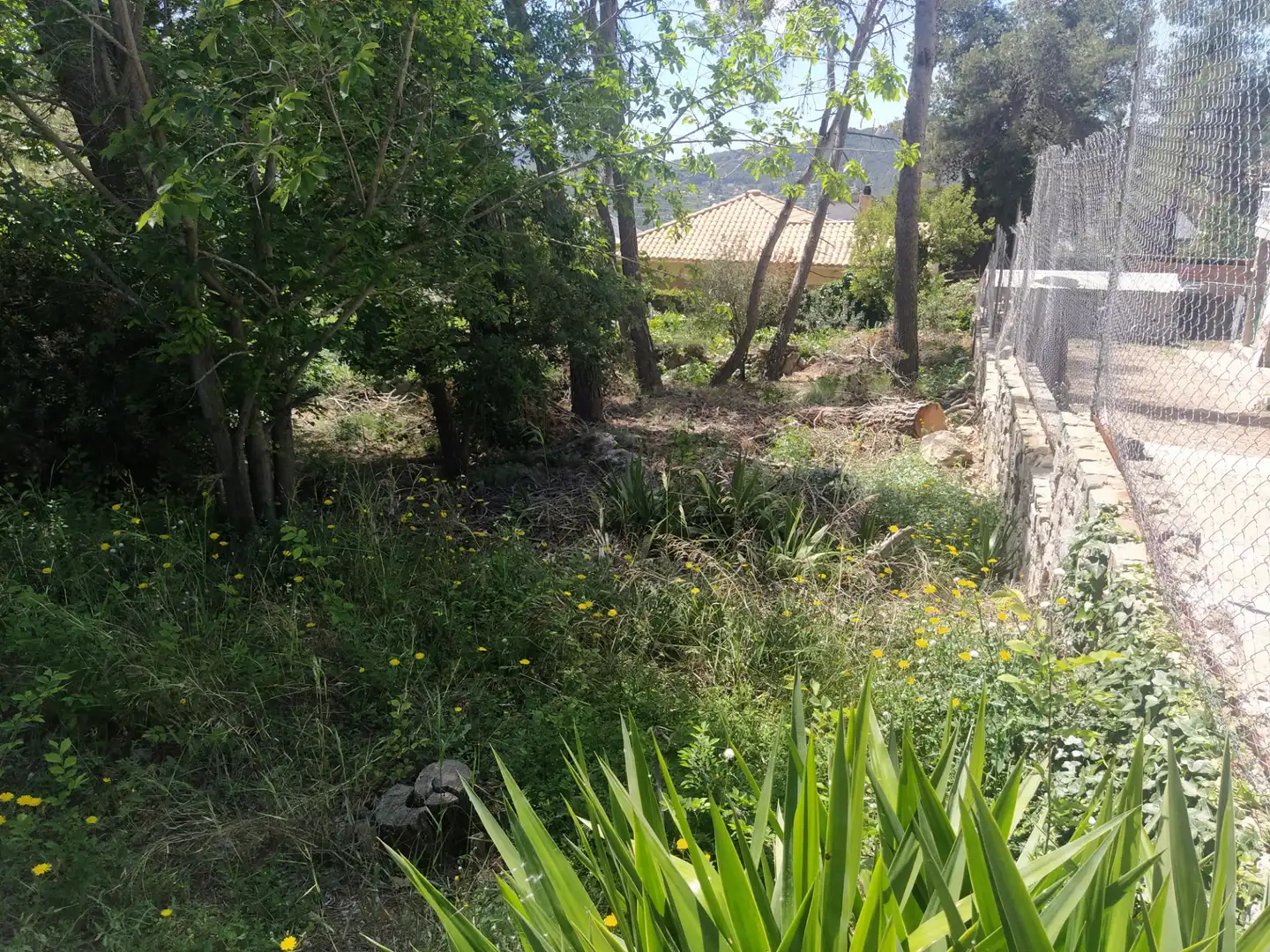 Terreny residencial en venda a Camí de la Creu de l'Aragall 1, imagen 8