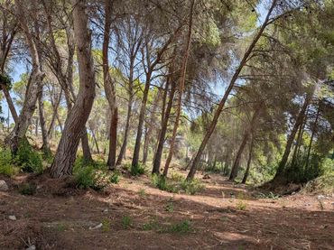 Terreny residencial en venda a Pinar del Advocat - Cometa