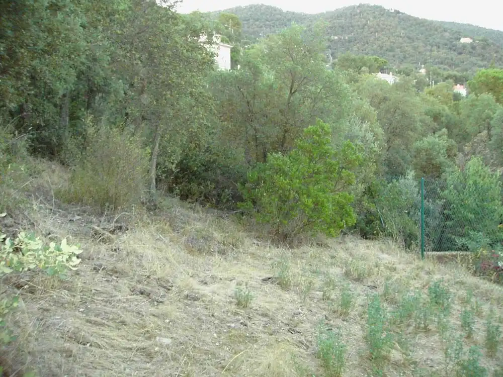 Terreny residencial en venda a Avenida Miramar, imagen 5