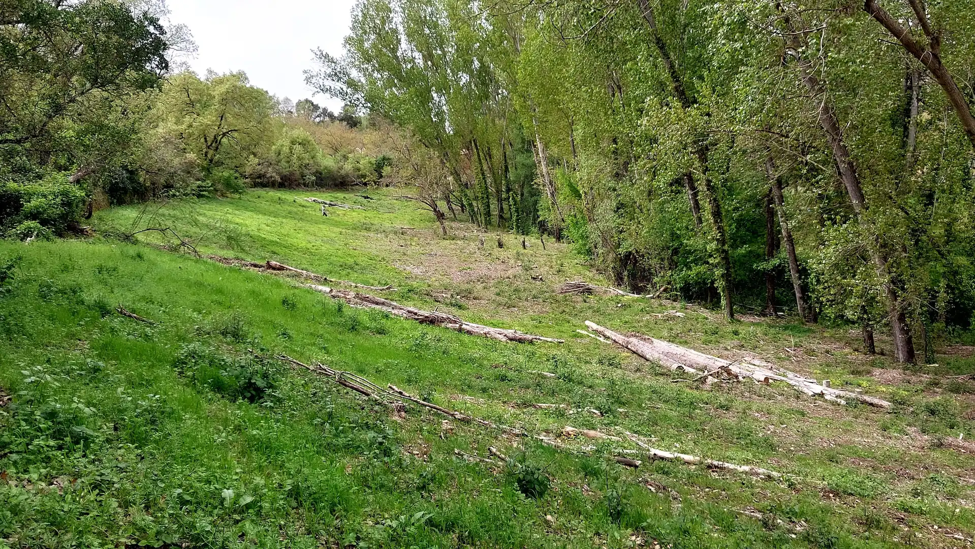 Terreni e lotti in vendita a Galaroza, imagen 19