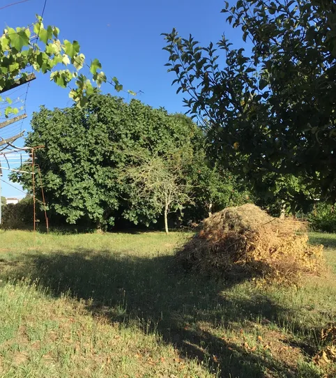 Photo 2 of Houses for sale in Campus Sur - Santa Marta, Santiago de Compostela