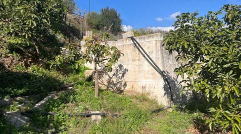 Photo 4 of Land for sale in Frigiliana, Málaga