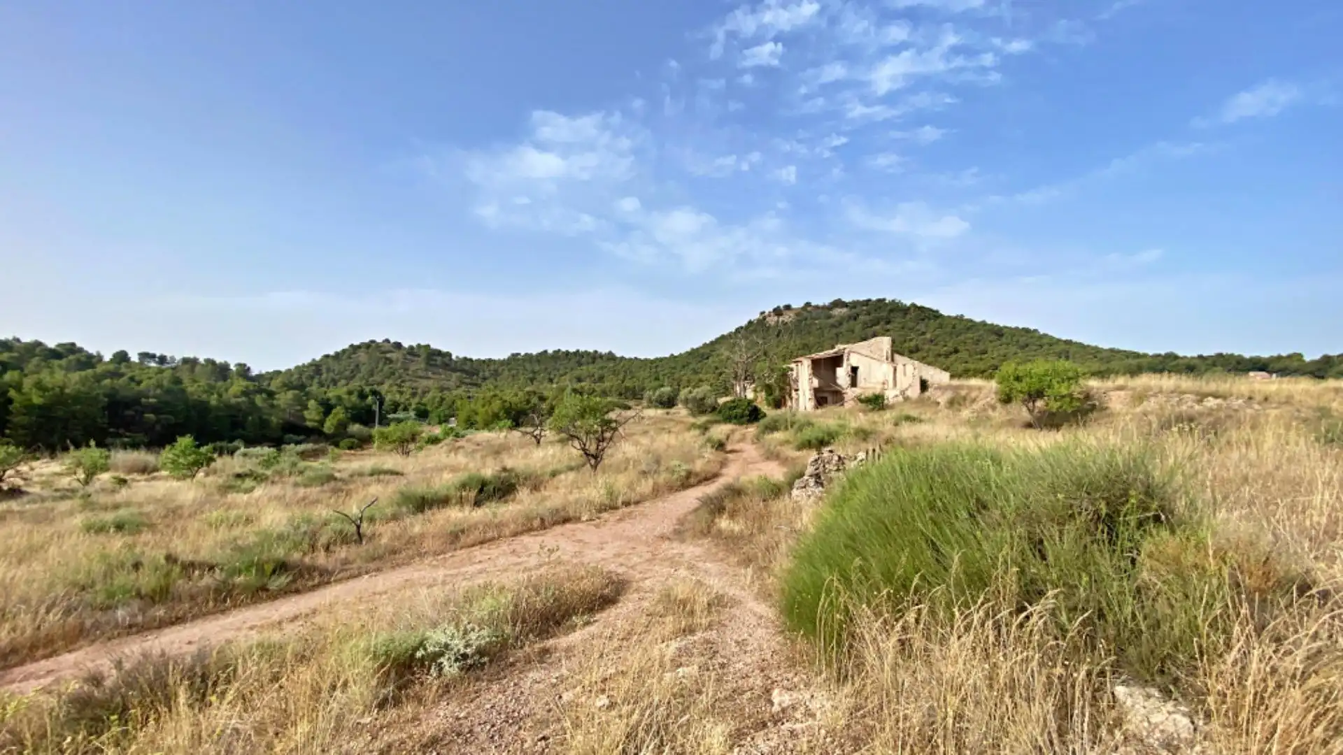 Country homes for sale in Totana