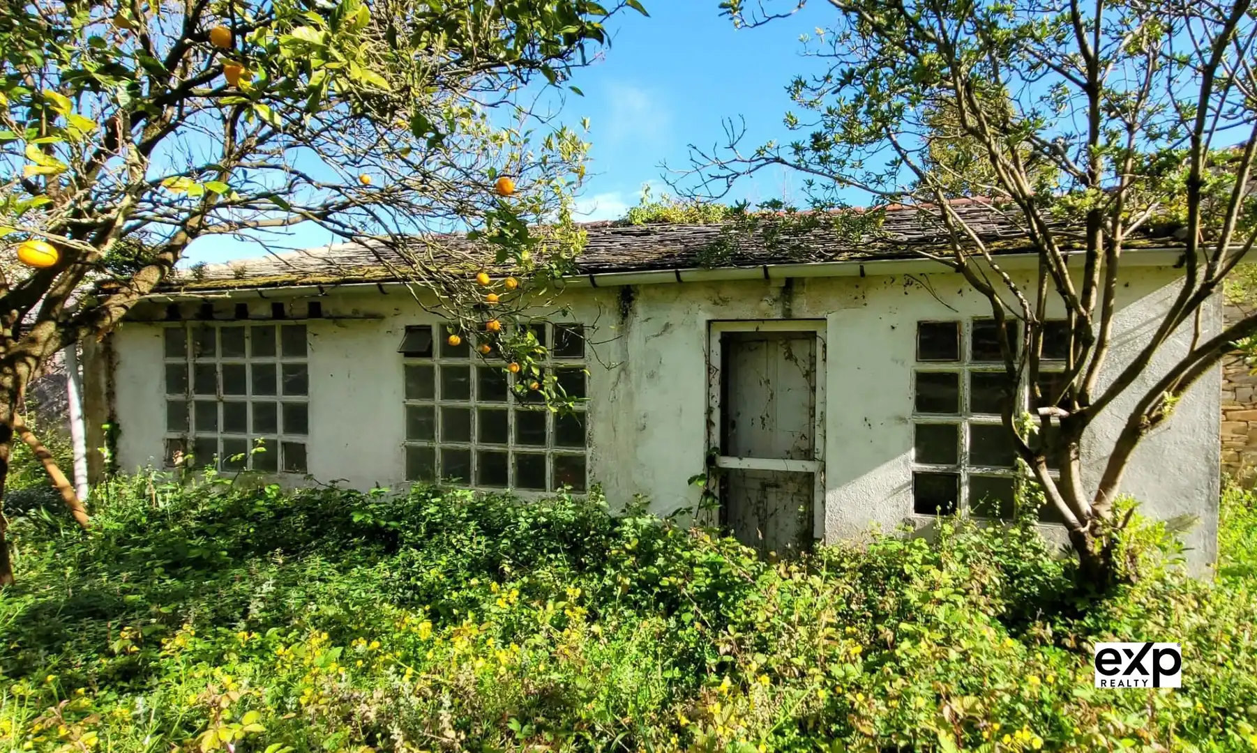 Haus mit Terrasse zum Verkauf in RAMON GONZALEZ, imagen 9