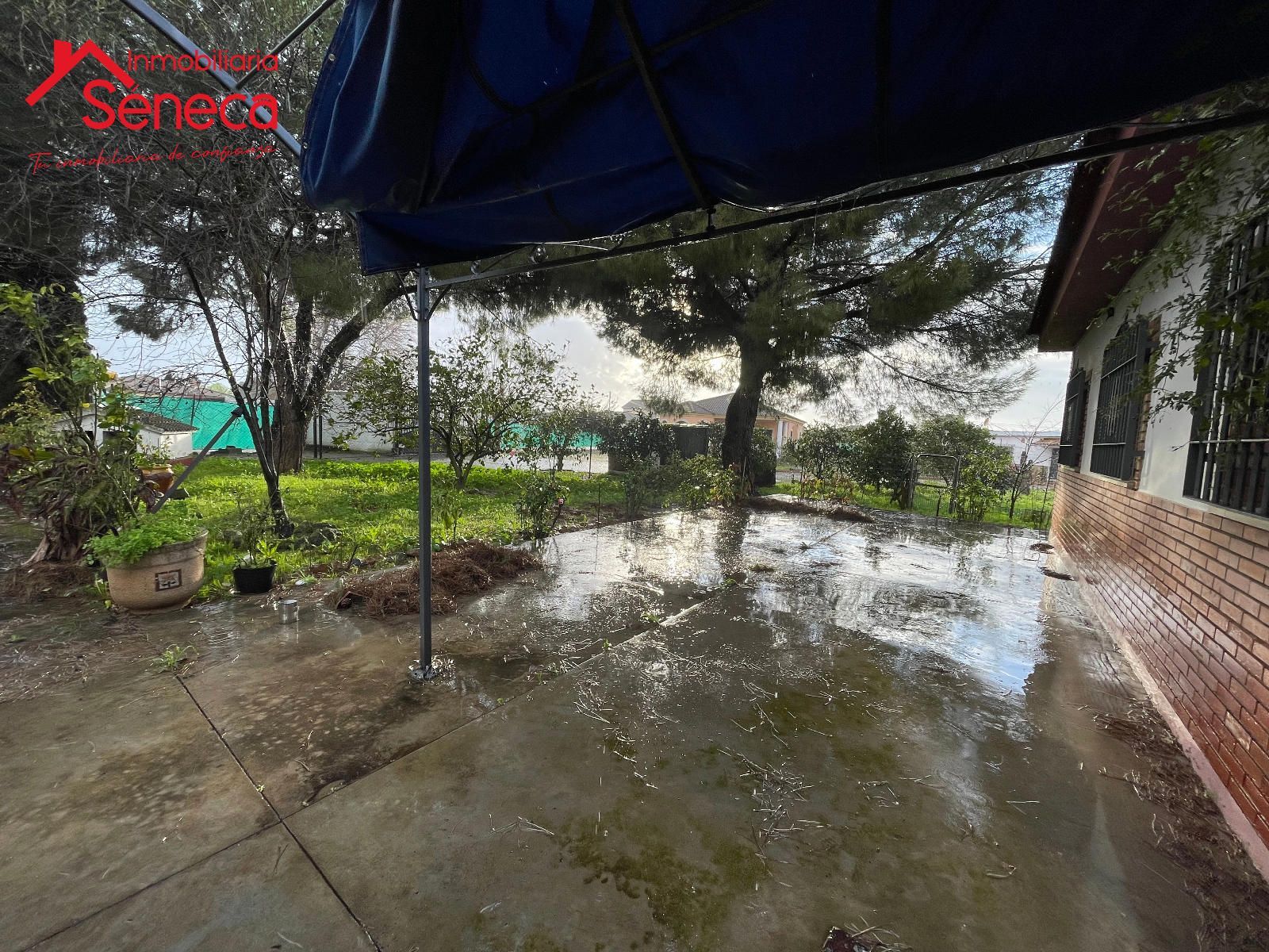 Garden of House or chalet for sale in  Córdoba Capital  with Air Conditioner, Heating and Terrace