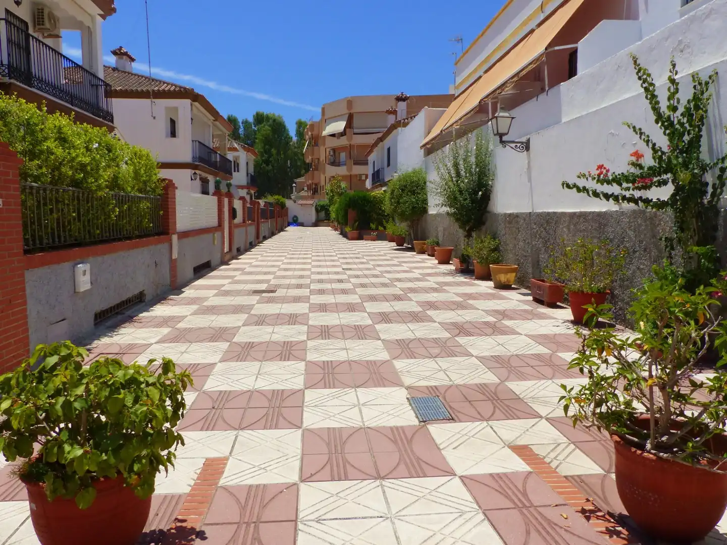 Habitatge amb terrassa en venda a CRUZ ROJA, imagen 44