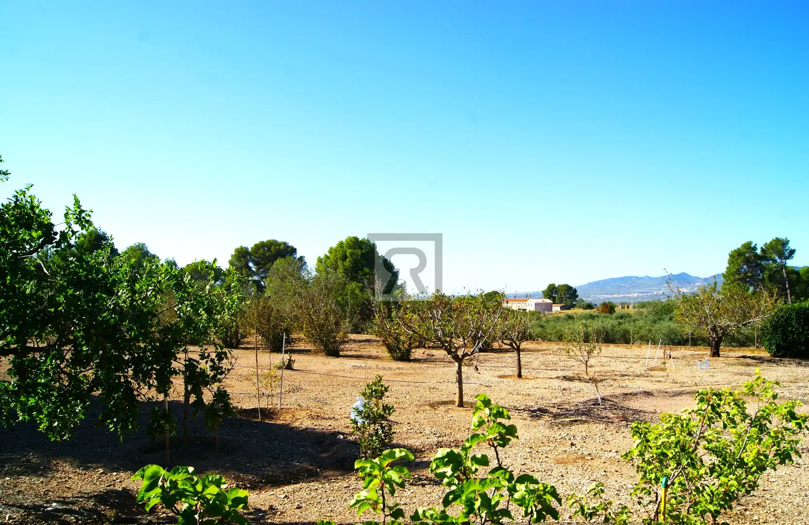 Finca rústica en venda a Plaça de l'Església M, 9, Valls