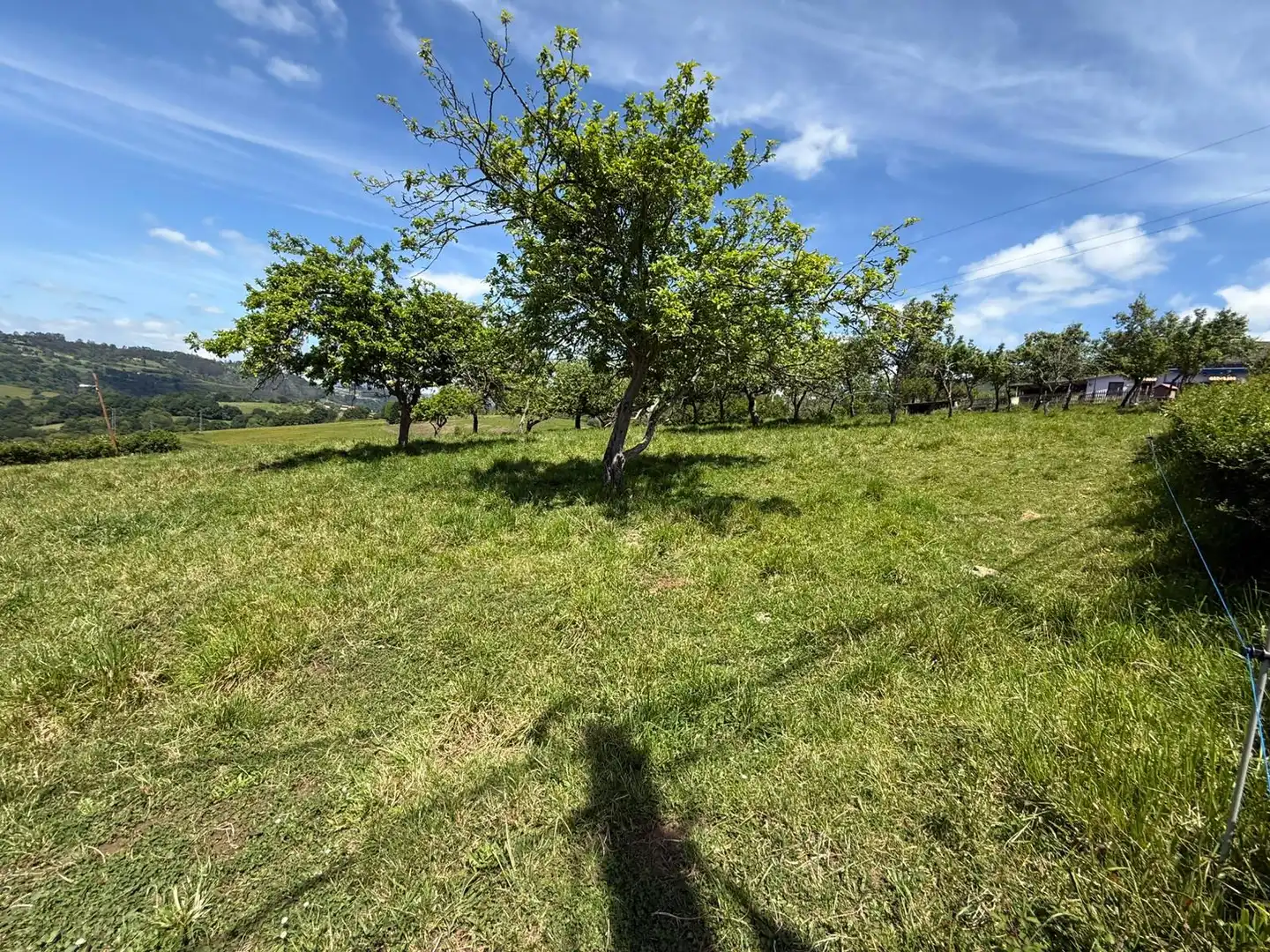 Residencial en venta en Oviedo 