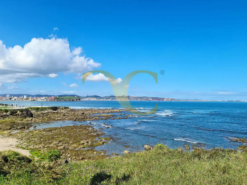 Vista exterior de Casa o chalet en venta en Gijón  con Calefacción, Jardín privado y Terraza