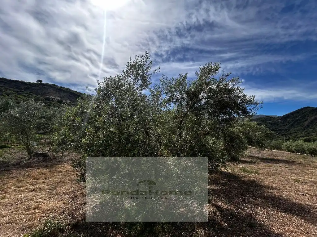 Finca rústica en venda en Ronda amb Piscina