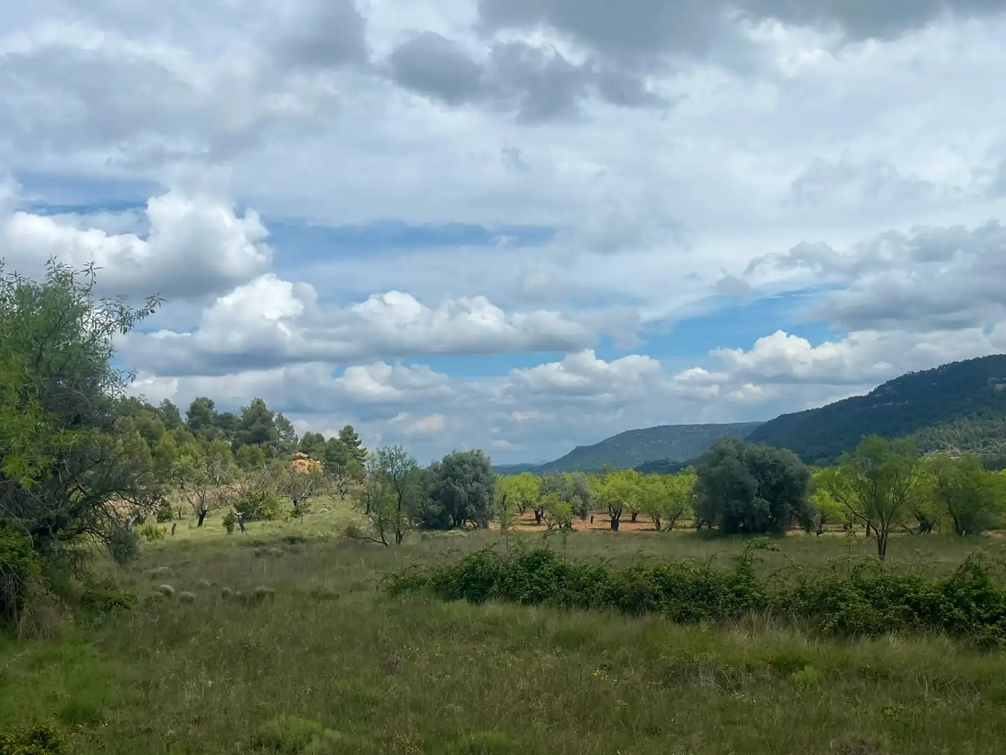 Terreni e lotti in vendita a Ráfales, imagen 6