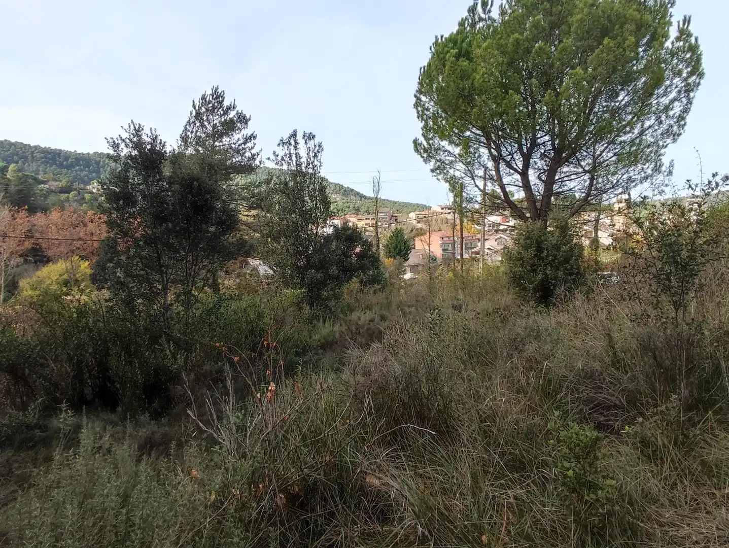 Terrain rustique à vendre à Monistrol de Calders, imagen 19