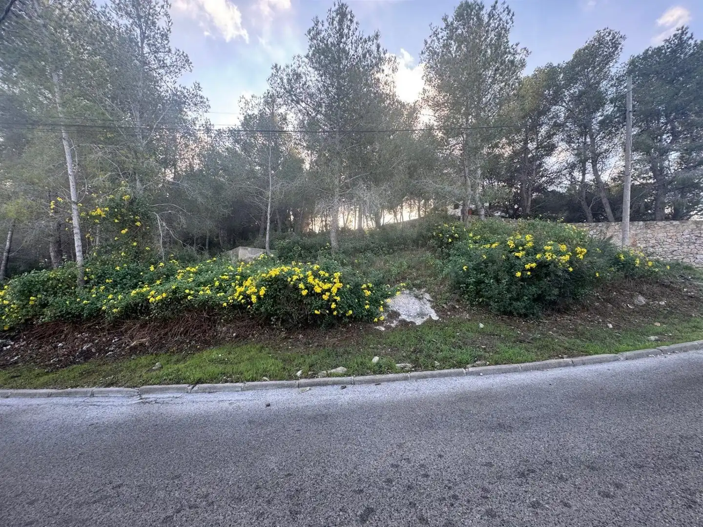 Terreno rustico in vendita a Carrer del Ter, 113 113