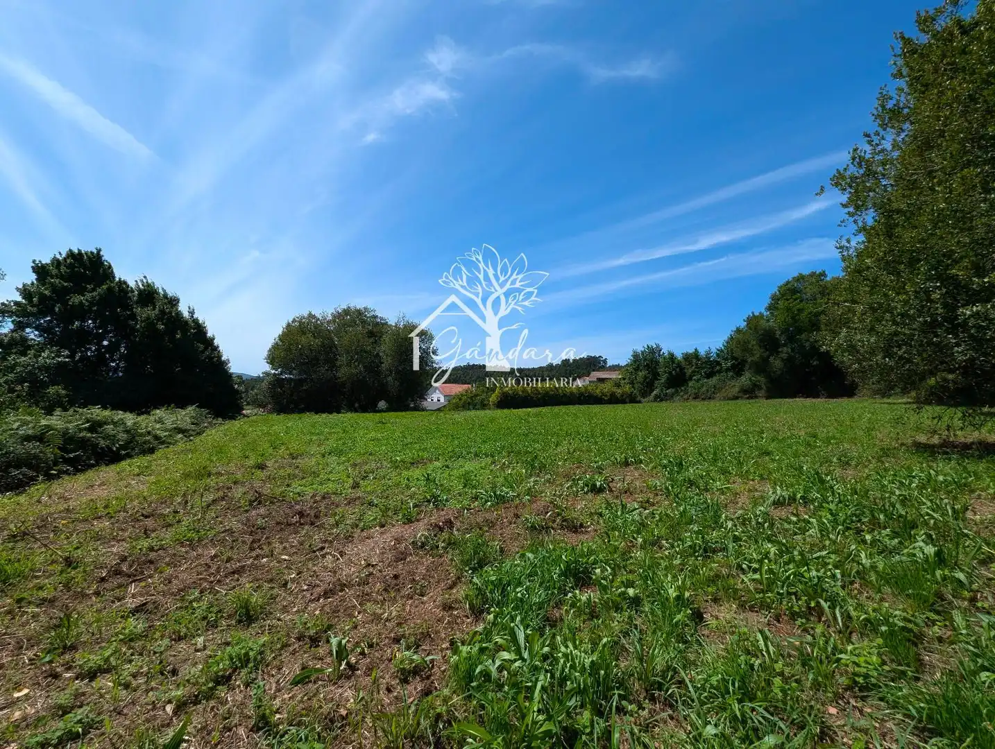 Terrenos y solares en venta en Sedes - Pedroso - Doso, imagen 9