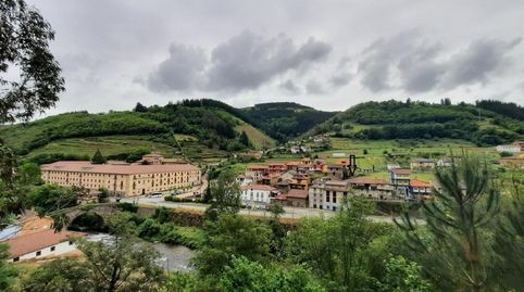 BO PALOMAR DE ABAJO CANGAS DE NARCEA ASTURIAS, imatge 5