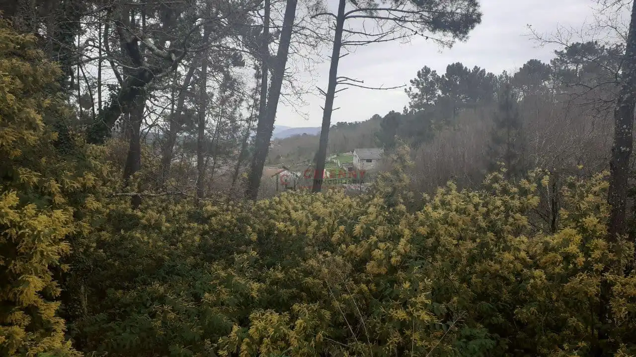 Terreni e lotti in vendita a Barbadás, imagen 7