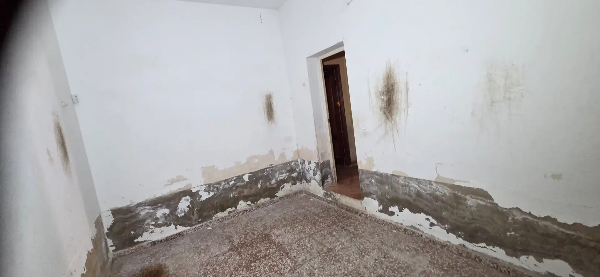 House for sale in Algueña, imagen 29