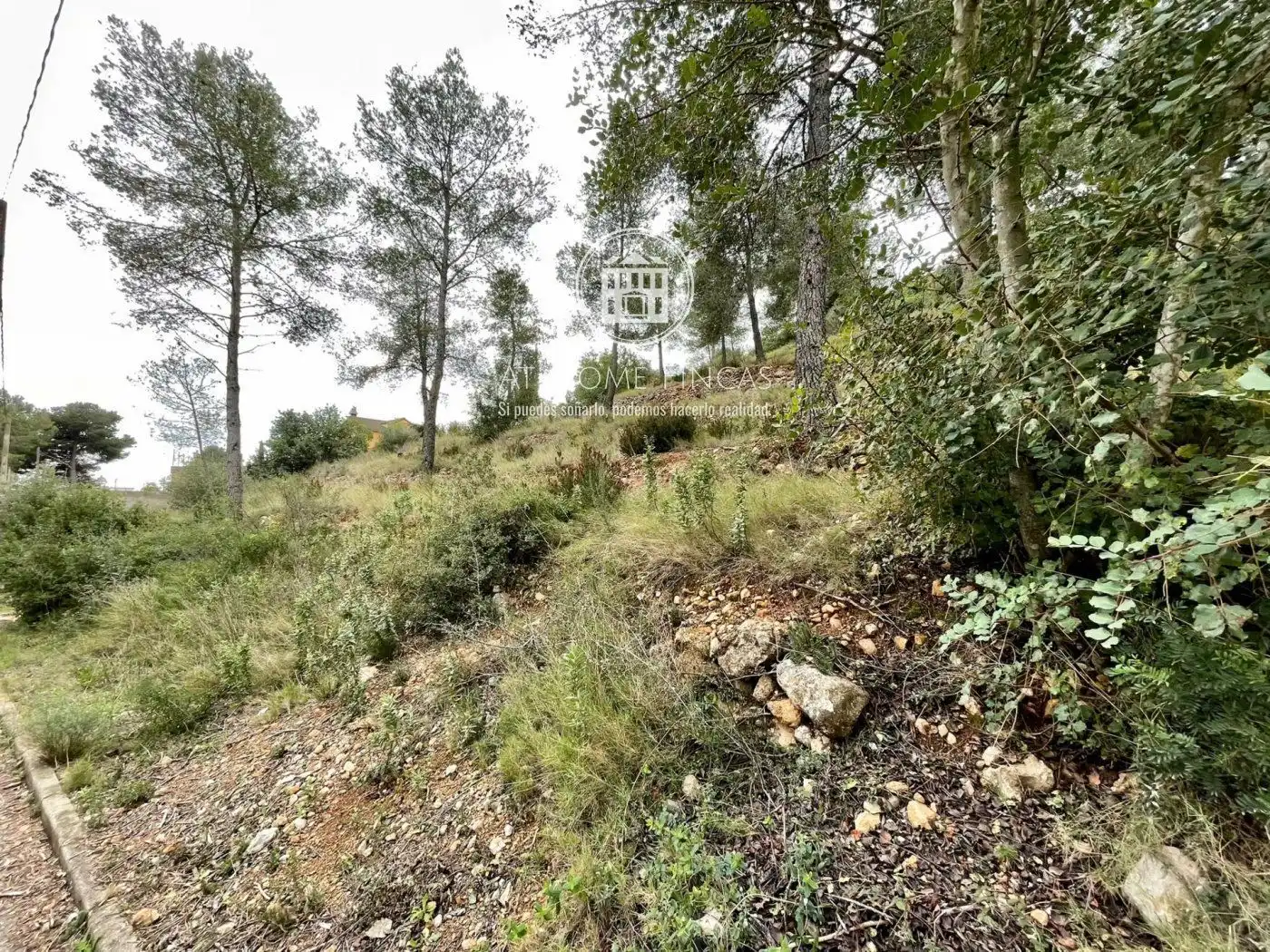Rural land for sale in Segovia-Priorat, imagen 5