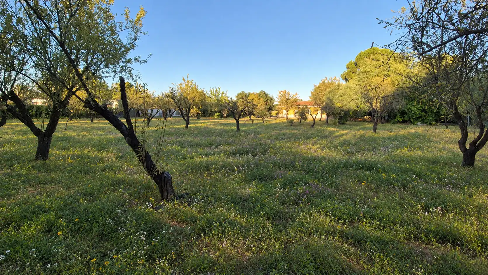 Xalet amb jardí en venda a Dehesilla Calamón, imagen 8