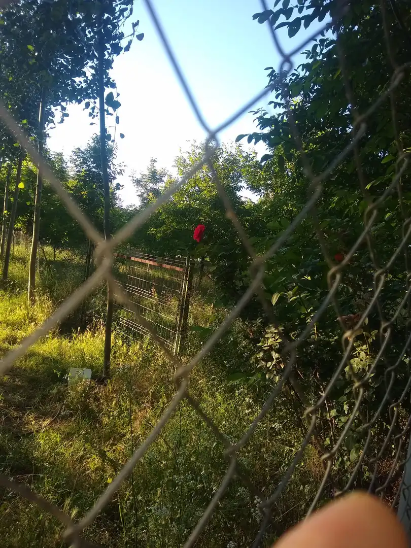 Rustikales Grundstück zum Verkauf in Calle Rosa Chacel 6, imagen 5