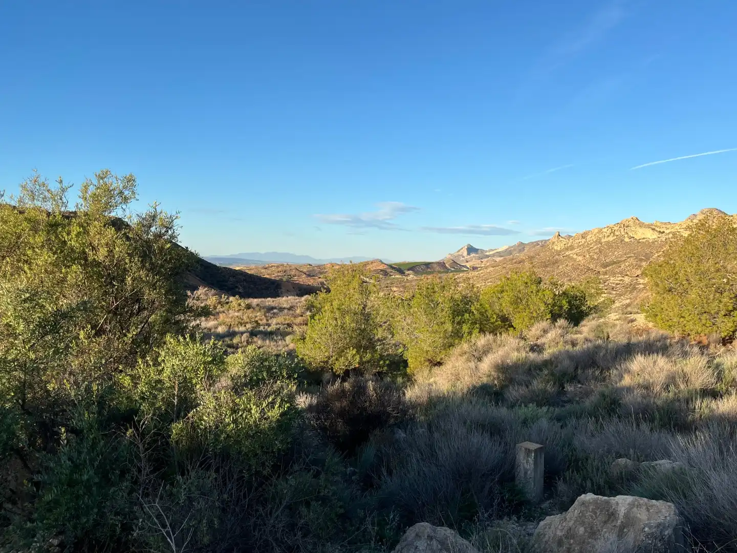 Vista exterior de Casa o xalet en venda en Albatera amb Aire condicionat, Calefacció i Jardí privat