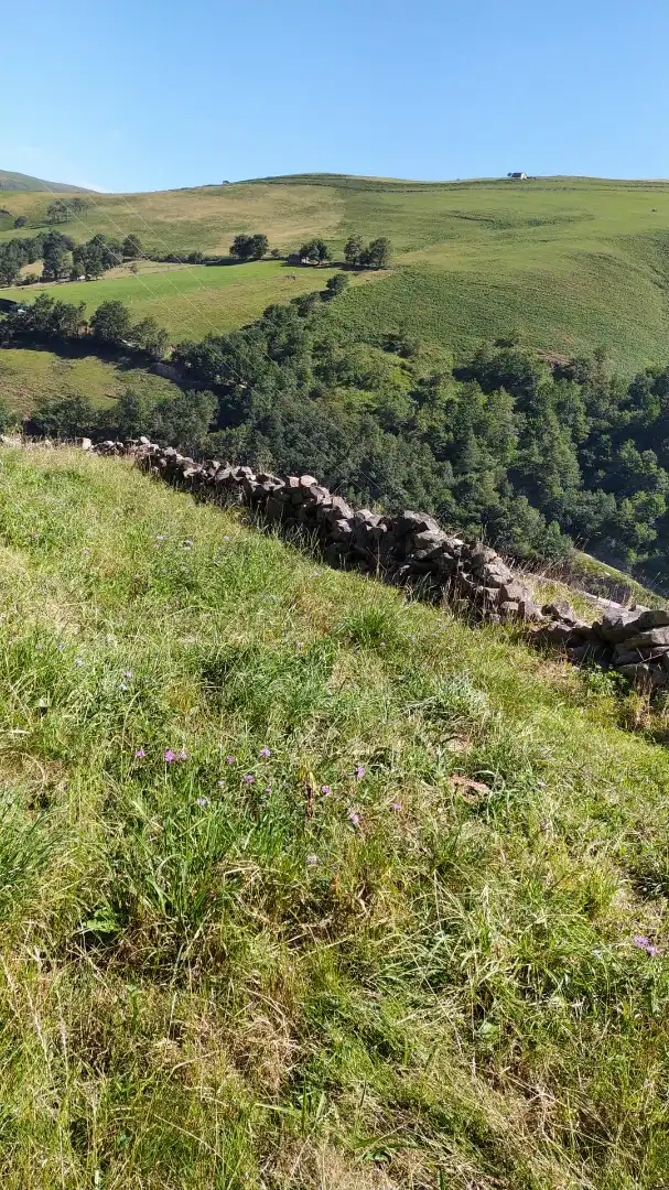 Casa o xalet en venda en Vega de Pas amb Jardí privat