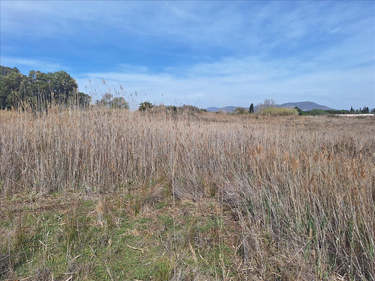 Residencial en venta en El Puig de Santa Maria