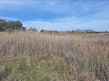 Terreny residencial en venda a POLIGONO 13 PARCELA 31, POLIGONO 1