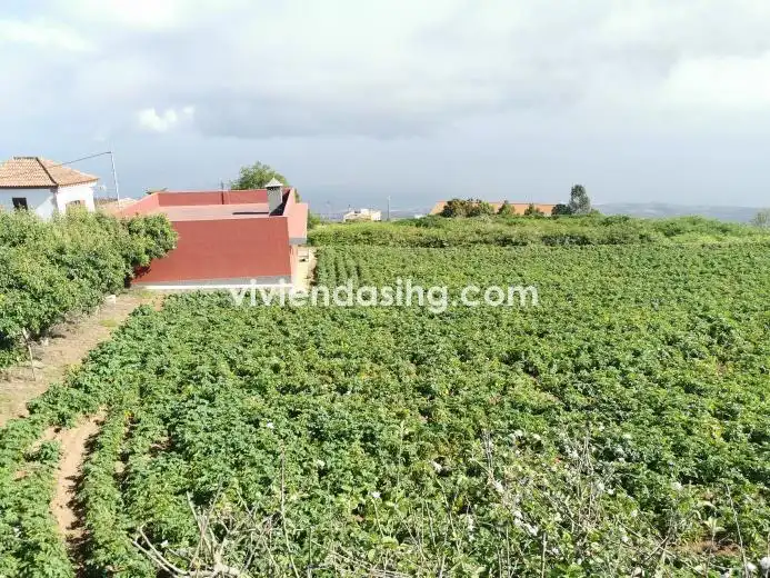 Terreno rustico in vendita a La Perdoma - San Antonio - Benijos, imagen 2
