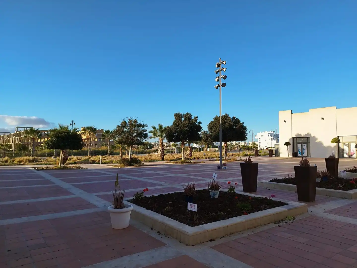 Vista exterior de Local de alquiler en Torre-Pacheco