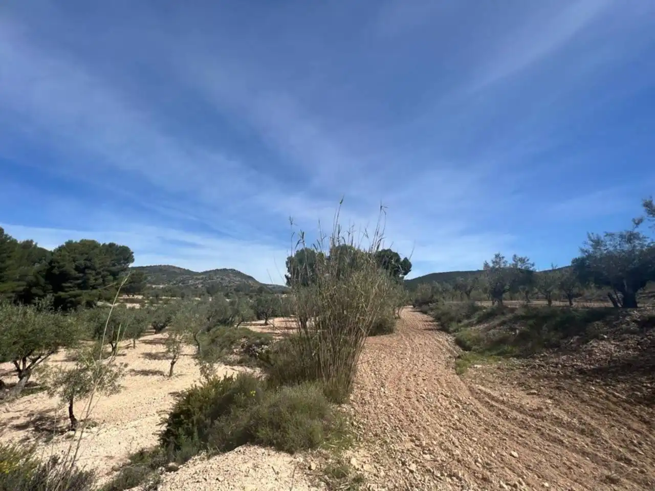 Chalet con jardín en venta en Calle Poligono, imagen 131
