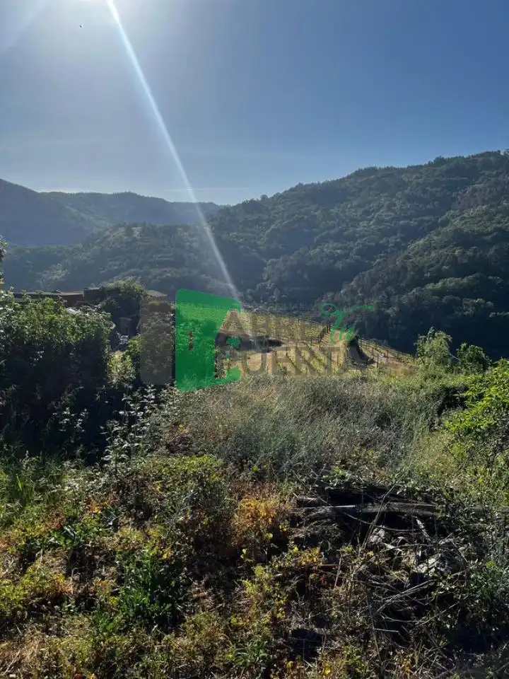 Chalet con jardín en venta en A Peroxa, imagen 9