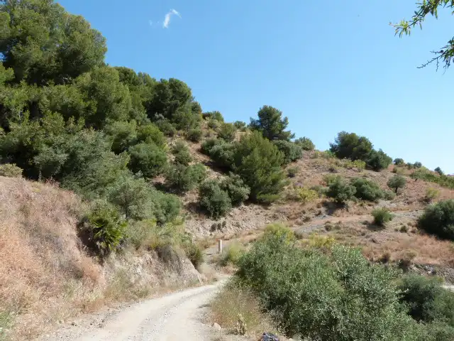 Rustikales Grundstück zum Verkauf in Ptda Moralejo - Pol 7 -, imagen 6
