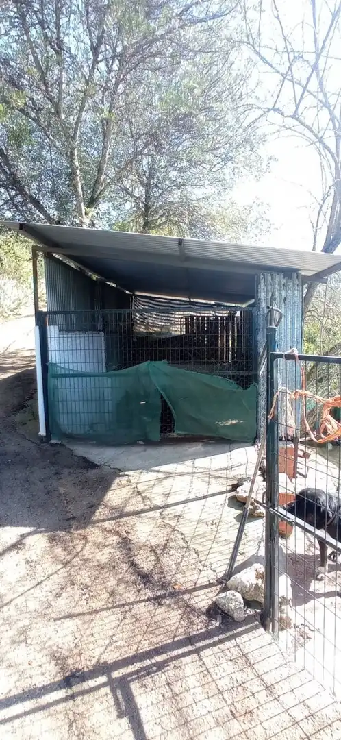 Terreni e lotti in vendita a Benaocaz, imagen 3