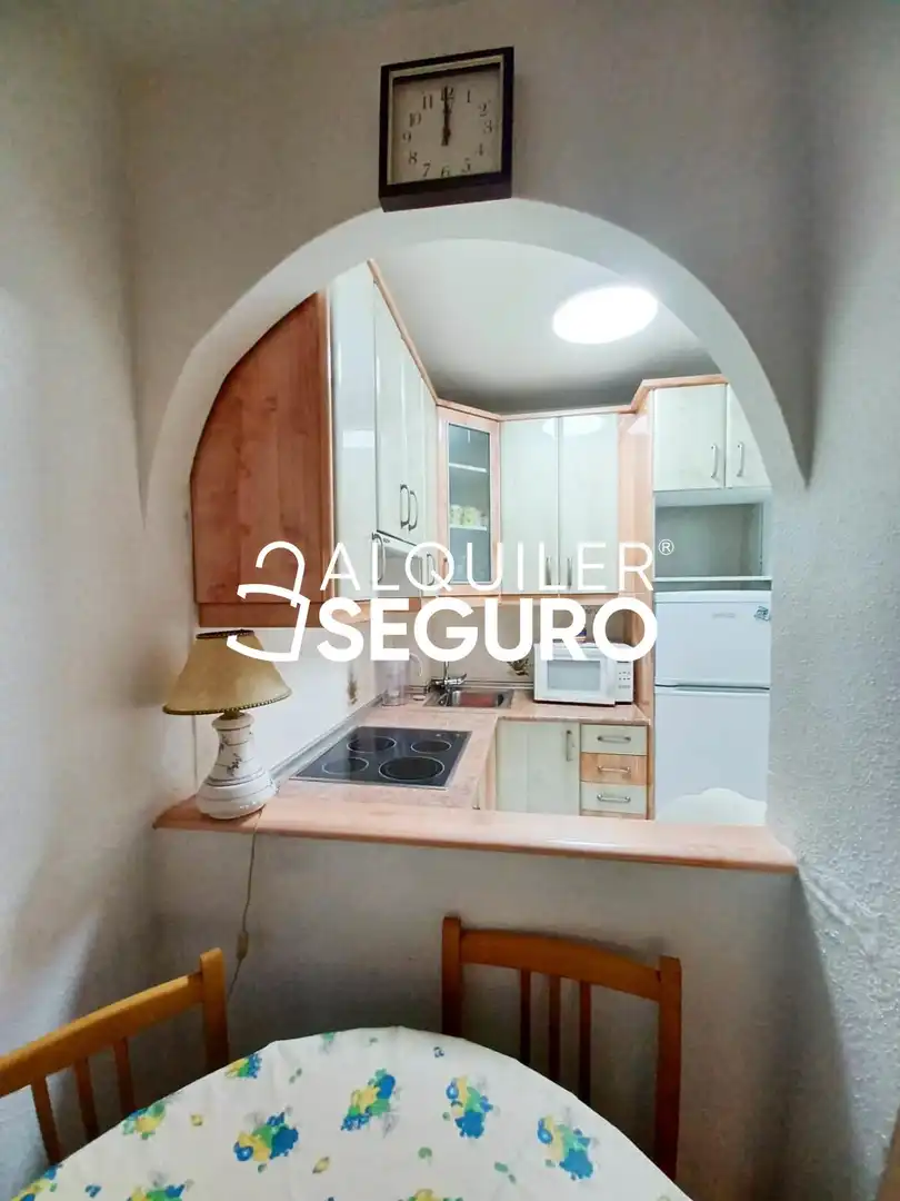 Cuina de Estudi de lloguer en Torrevieja amb Aire condicionat, Calefacció i Terrassa