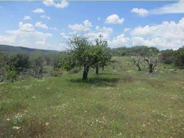Terreno rústico en venta en Covarrubias, imagen 5