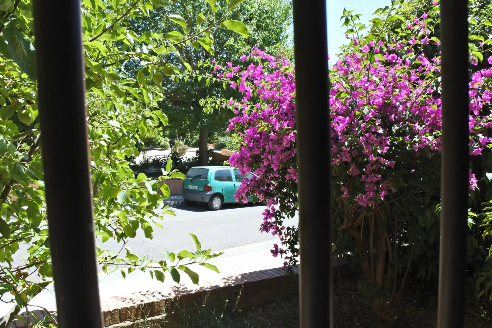 Vista exterior de Piso para compartir en Granada con Aire acondicionado, Calefacción y Jardín privado
