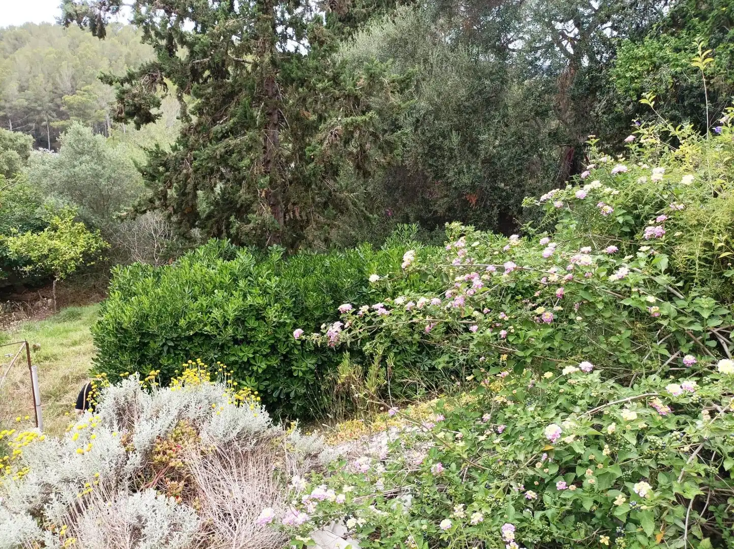 Jardí de Residencial en venda en  Palma de Mallorca