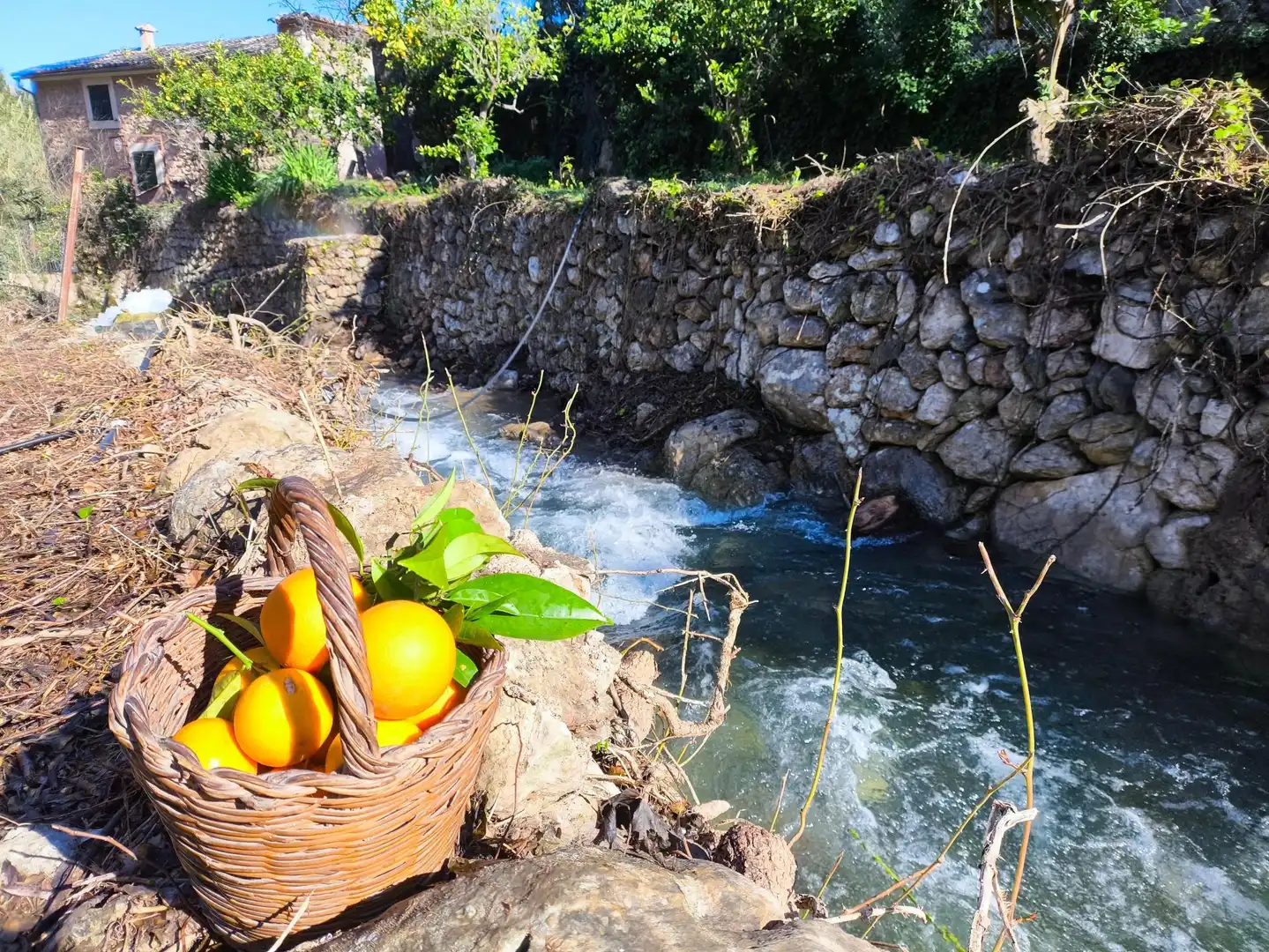 Finca rústica de lloguer en Sóller amb Calefacció