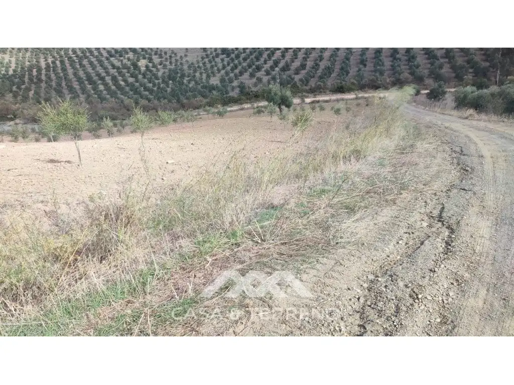 Terreni e lotti in vendita a Polígono 174 Parcela, imagen 5