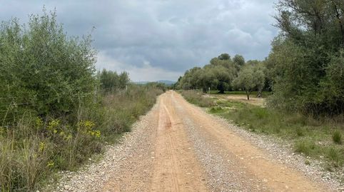 Solvia Inmobiliaria  Suelo Rústico Ulldecona, immagine 5