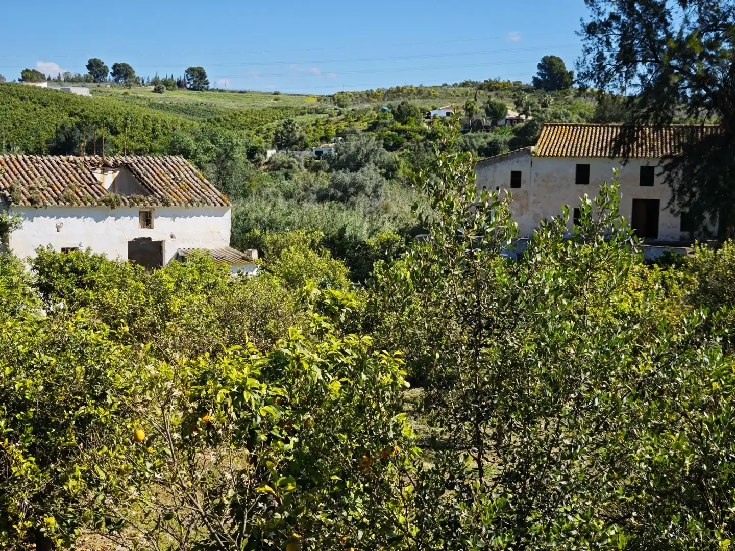 Vista exterior de Finca rústica en venda en Cártama