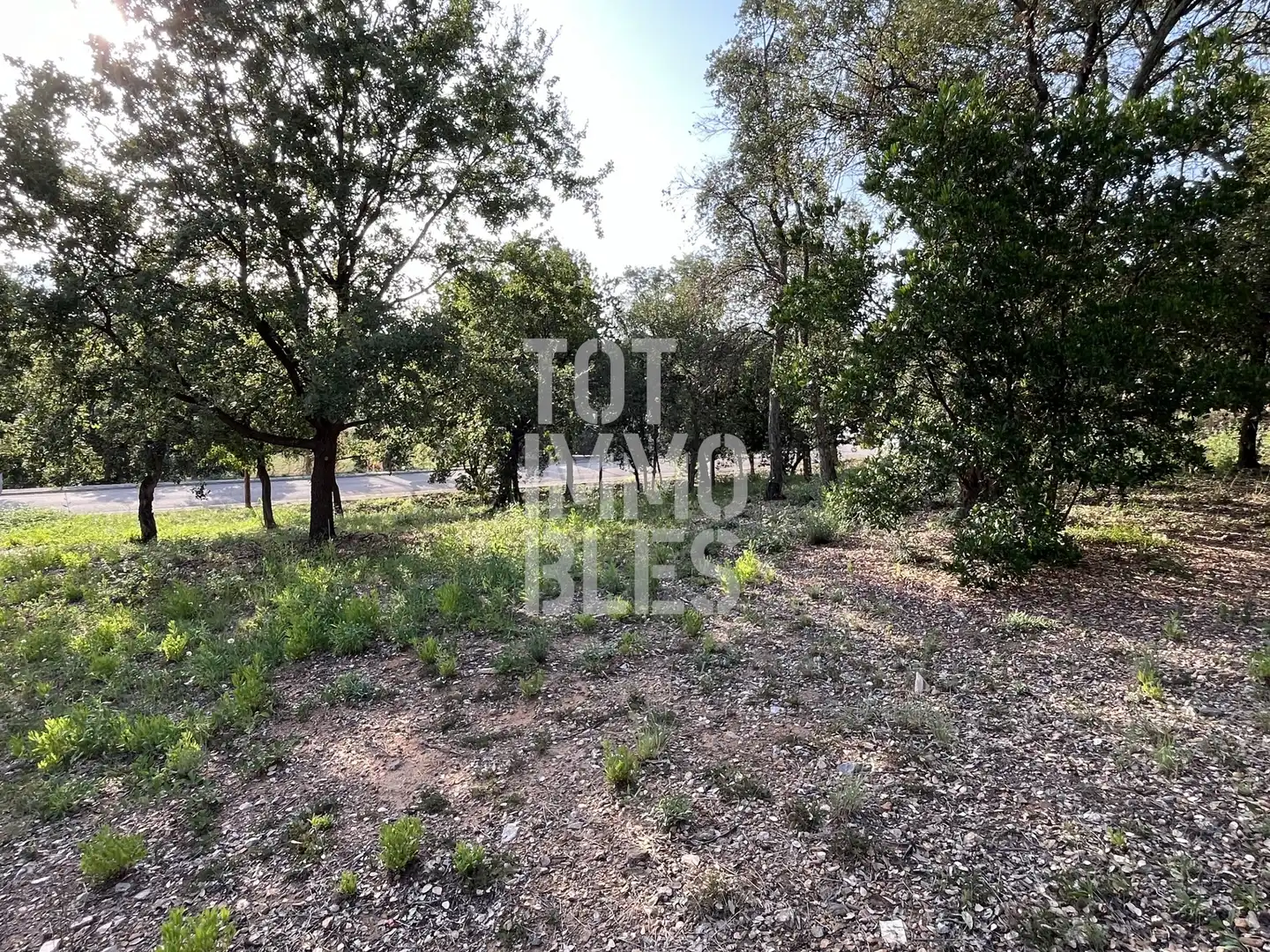 Lands and plots for sale in Bescanó, imagen 2