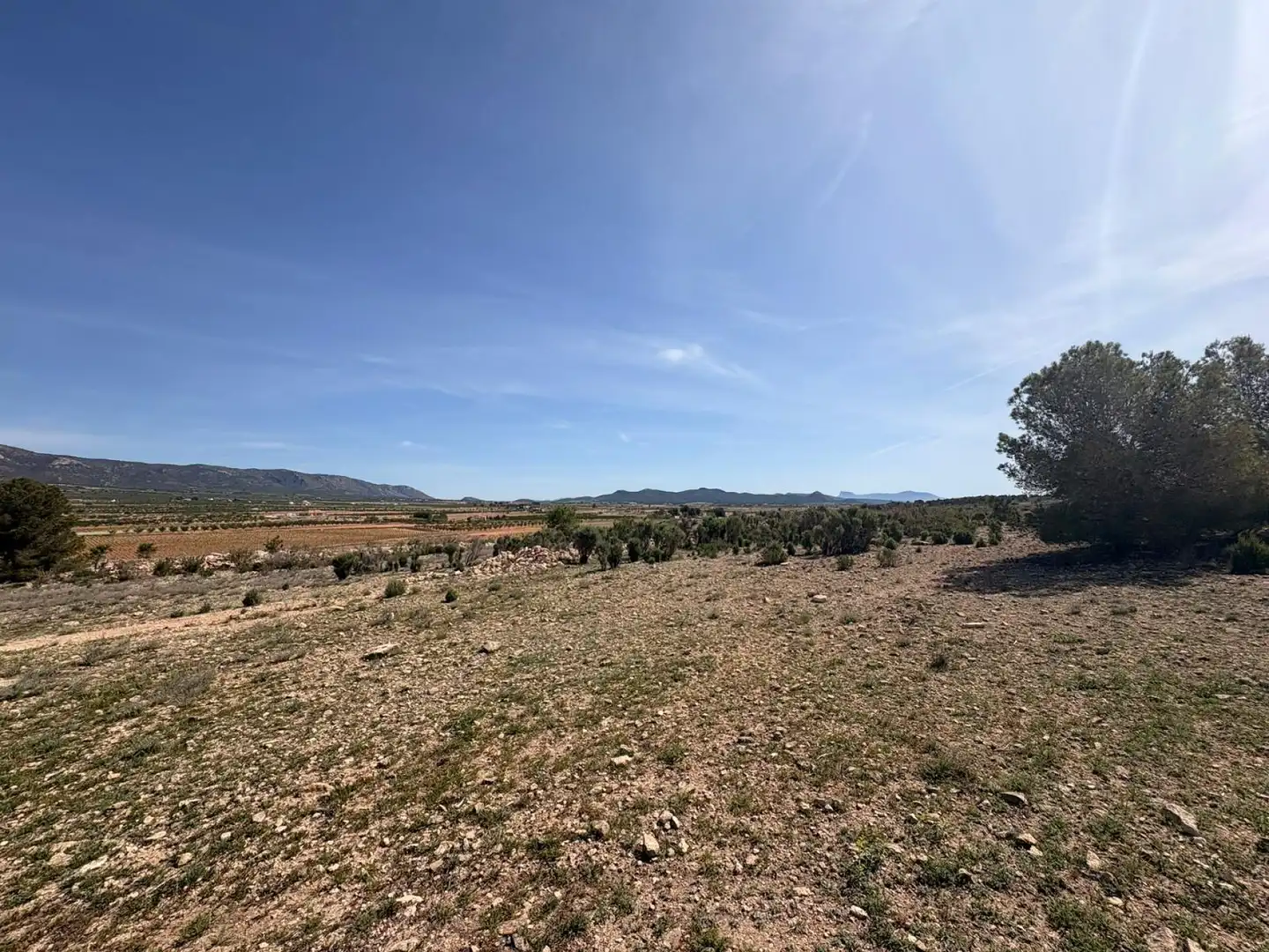 Terreno residencial en venta en El Pinós / Pinoso, imagen 5